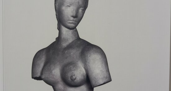 TORSO